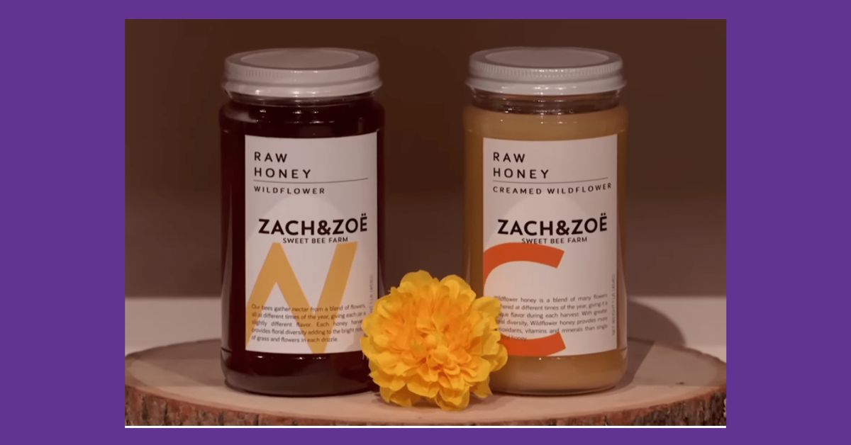 Zach and Zoe Honey net worth