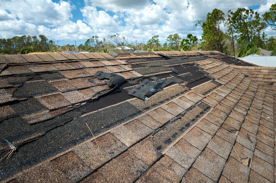 How Asheville’s Weather Affects the Durability of Metal Roofs